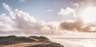 Tagestrip nach Dänemark: Von Flensburg zum skandinavischen Nachbarn Dänemark Strand