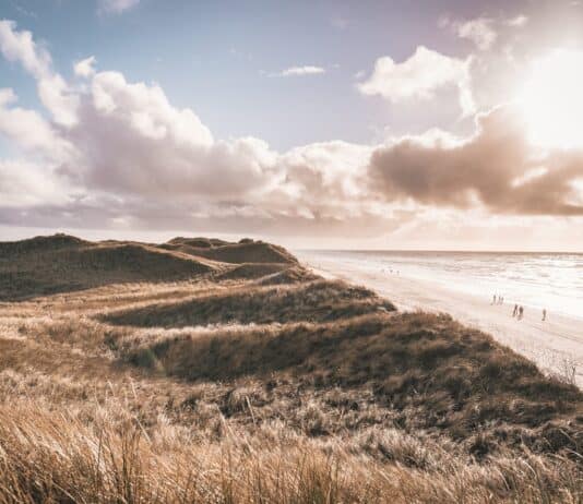 Tagestrip nach Dänemark: Von Flensburg zum skandinavischen Nachbarn Dänemark Strand
