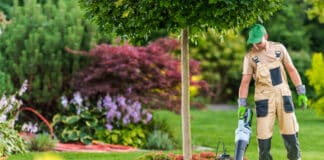 TÜV SÜD-Tipps zu Laubsaugern und -bläsern TÜV SÜD-Tipps zu Laubsauger und -bläser