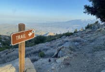 Wild und wunderbar – wandern auf dem Pacific Crest Trail Pacific Crest Trail