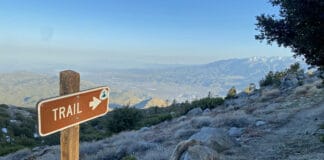 Wild und wunderbar – wandern auf dem Pacific Crest Trail Pacific Crest Trail