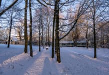 Zukünftige Entwicklung des Katharinen Hospiz am Park Zukünftige Entwicklung des Katharinen Hospiz am Park