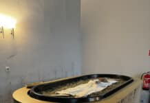 Diskussionsrunde zur „Reerdigung”, einem neuen Bestattungskonzept Reerdigung