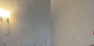 Diskussionsrunde zur „Reerdigung”, einem neuen Bestattungskonzept Reerdigung