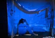 Das Portrait eines Vogels Das Portrait eines Vogels