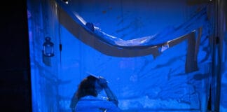 Das Portrait eines Vogels Das Portrait eines Vogels