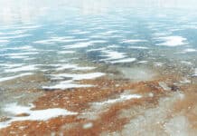 DLRG warnt: Lebensgefahr beim Betreten von Eisflächen DLRG warnt vor Betreten der Eisflächen