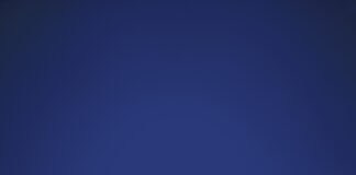 Majid Shojaee – seit 30 Jahren das Gesicht des „Kontraste“ Majid Shojaee – seit 30 Jahren das Gesicht des „Kontraste“