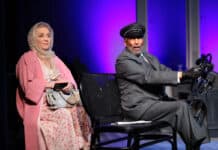 Miss Daisy und ihr Chauffeur