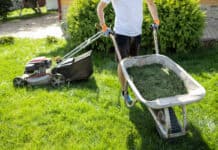 Minijobs im Privathaushalt: Steuervorteil für Arbeitgeberinnen und Arbeitgeber Minijobs im Privathaushalt: Steuervorteil für Arbeitgeberinnen und Arbeitgeber