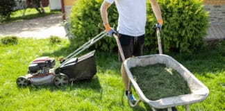 Minijobs im Privathaushalt: Steuervorteil für Arbeitgeberinnen und Arbeitgeber Minijobs im Privathaushalt: Steuervorteil für Arbeitgeberinnen und Arbeitgeber