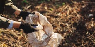 Aktion „Unser sauberes Schleswig-Holstein“ Aktion „Unser sauberes Schleswig-Holstein“