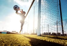 Die Kommerzialisierung der Bundesliga und ihr Einfluss auf die Landesvereine Die Kommerzialisierung der Bundesliga und ihr Einfluss auf die Landesvereine