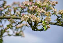 Der Aktionsmonat Naturerlebnis lockt im Mai mit 800 Ausflügen in die Natur