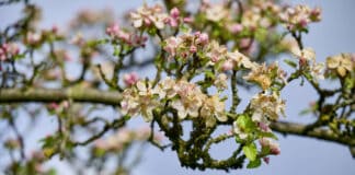 Der Aktionsmonat Naturerlebnis lockt im Mai mit 800 Ausflügen in die Natur
