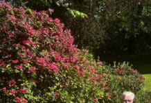 Berthold Hamer – 5.000 Buchseiten über Glücksburg und die Landschaft Angeln Straßen und Stadtteile: Berthold Hamer – 5.000 Buchseiten über Glücksburg und die Landschaft Angeln