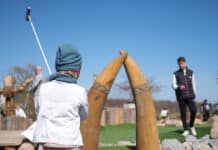 Wikingergolf Wikingergolf