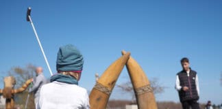 Wikingergolf Wikingergolf