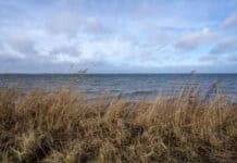 NaturErlebnistag 2024 auf der Geltinger Birk  NaturErlebnistag 2024 auf der Geltinger Birk