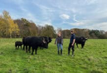 Artenreichtum auf der Wiese erleben – Führung und anschließend Fingerfood Artenreichtum auf der Wiese erleben – Führung und anschließend Fingerfood