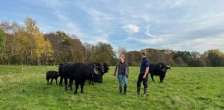 Artenreichtum auf der Wiese erleben – Führung und anschließend Fingerfood Artenreichtum auf der Wiese erleben – Führung und anschließend Fingerfood