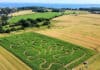 Das „Maislabyrinth“ von Angeln Maislabyrinth Gut Oestergaard