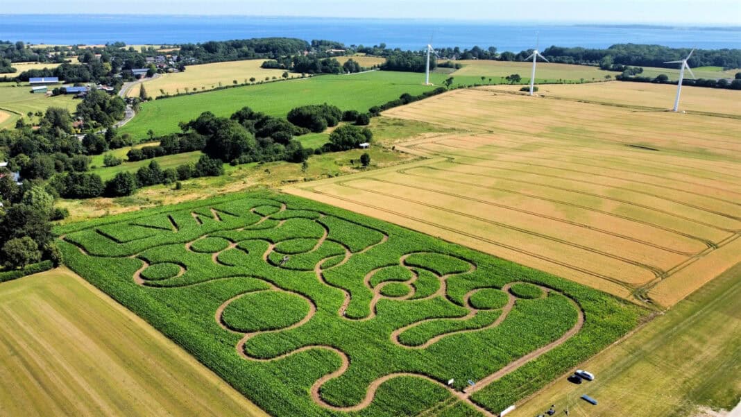 Maislabyrinth Gut Oestergaard