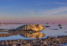 SHMF – Unsere Meere SHMF - Unsere Meere