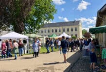 Herbstmarkt auf Gut Oestergaard Herbstmarkt auf Gut Oestergaard