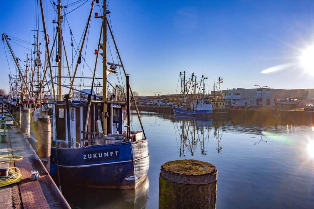 Maritimes Schleswig-Holstein: Die besten Aussichtspunkte zum Schiffe gucken