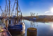 Maritimes Schleswig-Holstein: Die besten Aussichtspunkte zum Schiffe gucken Maritimes Schleswig-Holstein: Die besten Aussichtspunkte zum Schiffe gucken