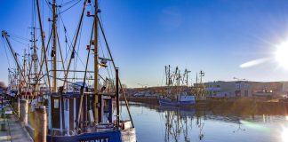 Maritimes Schleswig-Holstein: Die besten Aussichtspunkte zum Schiffe gucken Maritimes Schleswig-Holstein: Die besten Aussichtspunkte zum Schiffe gucken