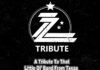ZZ Tribute – The Best Of ZZ Top