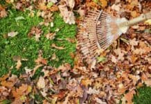 Die Nützlinge von morgen: Artenvielfalt auch im Winter fördern Die Nützlinge von morgen: Artenvielfalt auch im Winter fördern