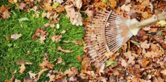 Die Nützlinge von morgen: Artenvielfalt auch im Winter fördern Die Nützlinge von morgen: Artenvielfalt auch im Winter fördern