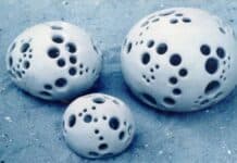 Herbstausstellung der Keramikgruppe “TON in TON” Herbstaustellung der Keramikgruppe „TON in TON”