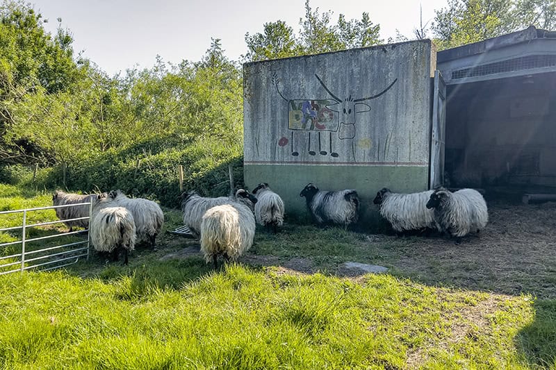 Das NaturErlebnisZentrum (NEZ) Maasholm