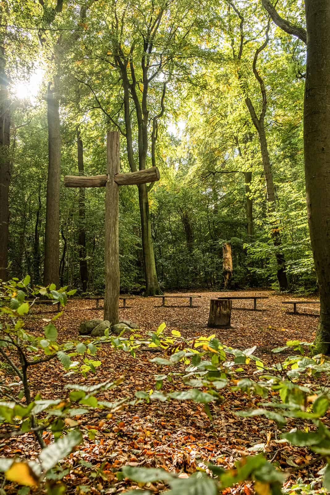 Der RuheForst Flensburger Förde Glücksburg