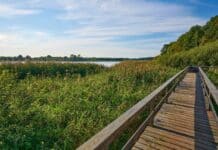 Beliebte Rundwanderwege in Schleswig-Holstein Beliebte Rundwanderwege in Schleswig-Holstein