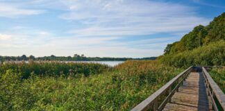 Beliebte Rundwanderwege in Schleswig-Holstein Beliebte Rundwanderwege in Schleswig-Holstein