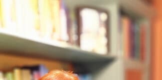 Kinderbuchlesung in der Carl-von-Ossietzky Buchhandlung Kinderbuchlesung in der Carl-von-Ossietzky Buchhandlung