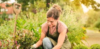 Gärtnern im Herbst: Mit torffreier Erde Klimaschutz pflanzen Gärtnern im Herbst: Mit torffreier Erde Klimaschutz pflanzen