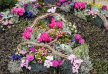 Trauerkultur im Wandel der Jahreszeiten Trauerkultur im Wandel der Jahreszeiten