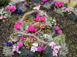 Trauerkultur im Wandel der Jahreszeiten Trauerkultur im Wandel der Jahreszeiten