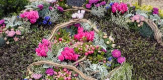 Trauerkultur im Wandel der Jahreszeiten Trauerkultur im Wandel der Jahreszeiten