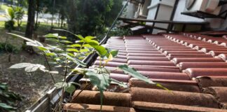 Teure Schäden drohen: Dachrinnen im Herbst reinigen Teure Schäden drohen: Dachrinnen im Herbst reinigen