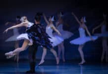 International Festival Ballet & Festival Orchestra: Schwanensee International Festival Ballet & Festival Orchestra Schwanensee