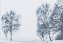 Fahrsicherheit: Winter- oder Ganzjahresreifen? Fahrsicherheit: Winter- oder Ganzjahresreifen?