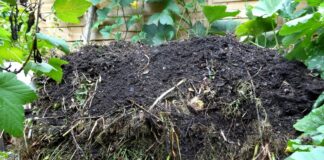 Kompostierung: Im Winter schon ans Frühjahr denken Kompostierung: Im Winter schon ans Frühjahr denken