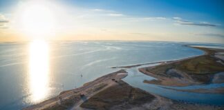 „Meeresmitmachtag“ in der Flensburger Innenstadt Meeresmitmachtag in der Flensburger Innenstadt